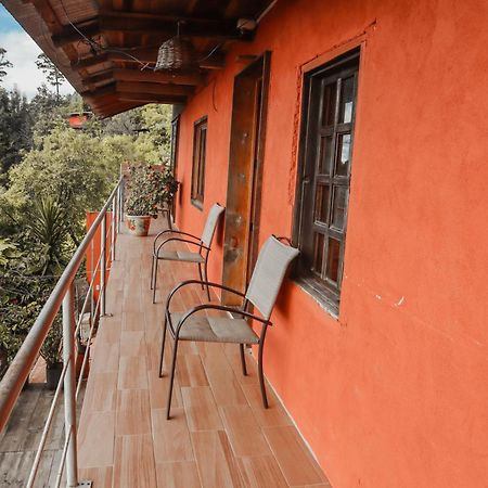 San Jose Del Pacifico- Cabanas Camino Al Cielo 2 Екстер'єр фото