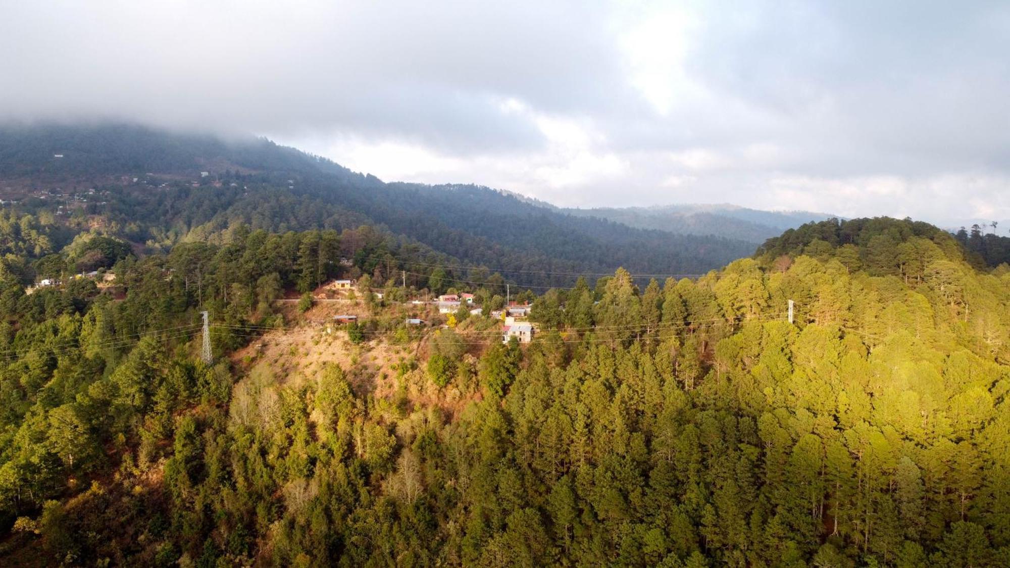 San Jose Del Pacifico- Cabanas Camino Al Cielo 2 Екстер'єр фото