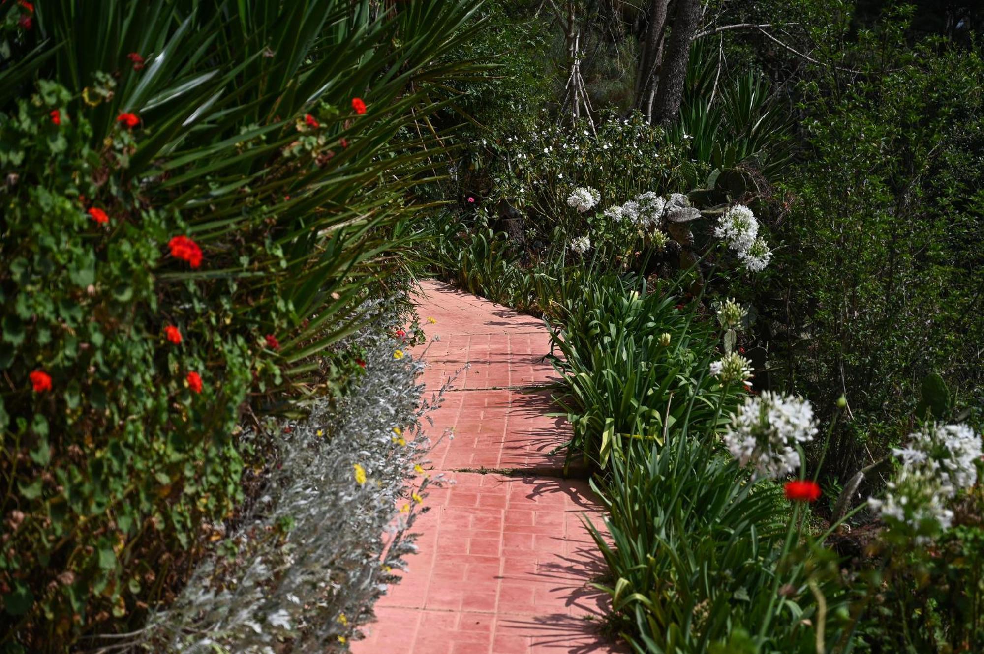 San Jose Del Pacifico- Cabanas Camino Al Cielo 2 Екстер'єр фото